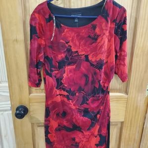Mid Length Sleeve Rosey Connected Apearel Dress